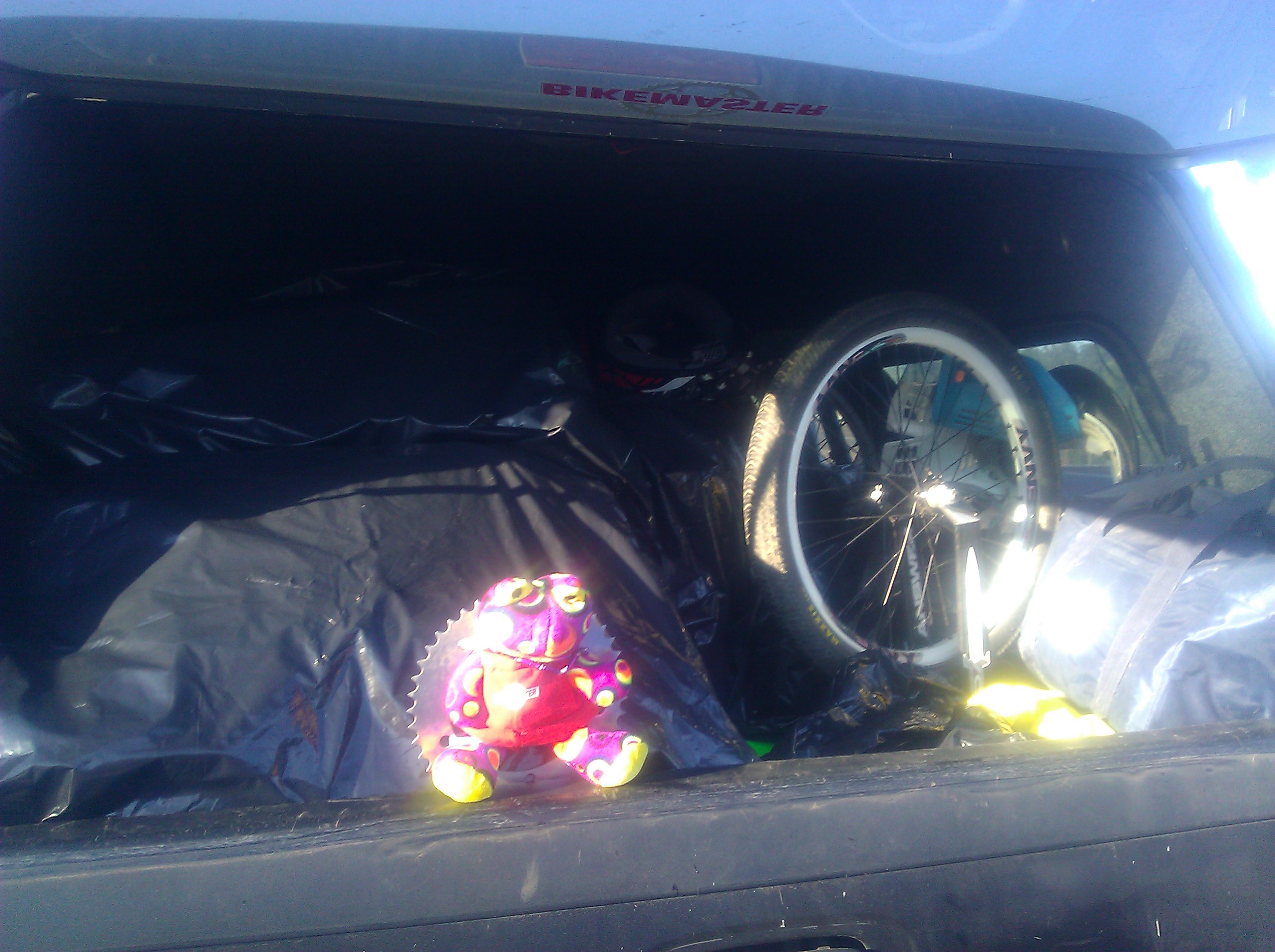 BB in truck